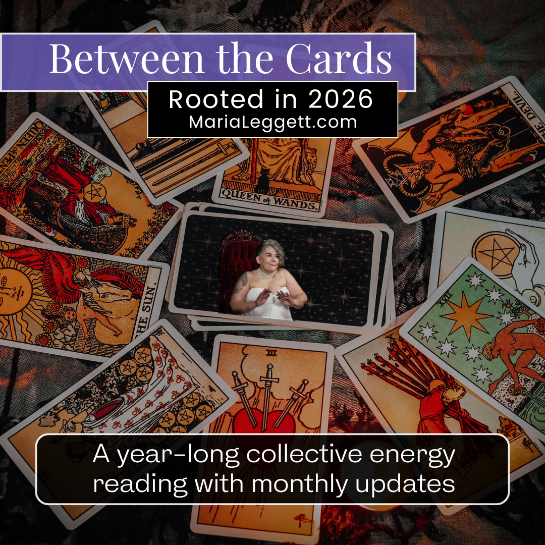 Between the Cards: Rooted in 2026